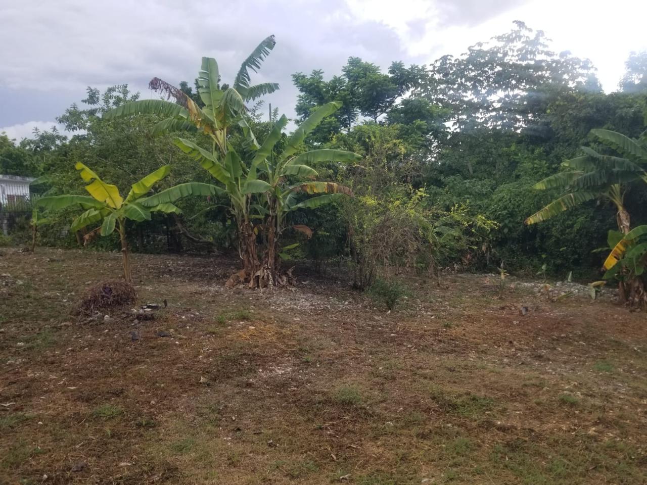 Sixth image of 28- Old Sugar Hill Road in Ironshore, St. James, Jamaica - property is For Sale
