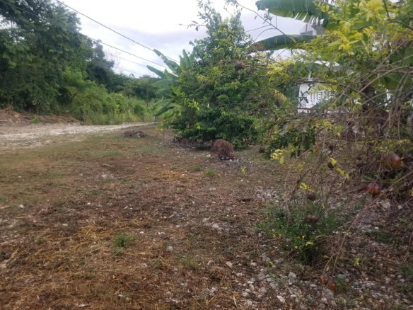 First image of 28- Old Sugar Hill Road in Ironshore, St. James, Jamaica - property is For Sale