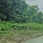 First image of Tower Isle Street in Tower Isle, St. Mary, Jamaica - property is For Sale