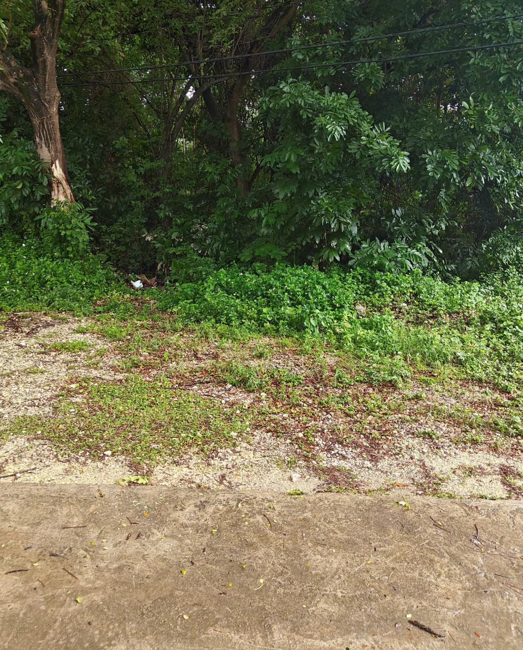 Third image of Tower Isle Street in Tower Isle, St. Mary, Jamaica - property is For Sale