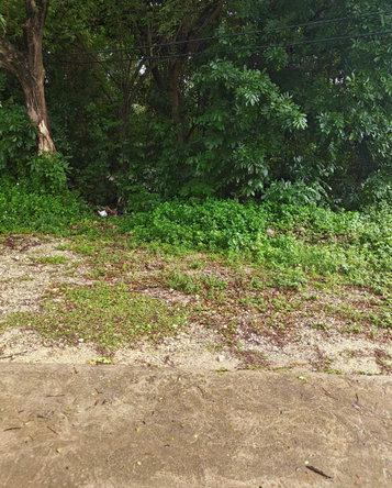 Third image of Tower Isle Street in Tower Isle, St. Mary, Jamaica - property is For Sale