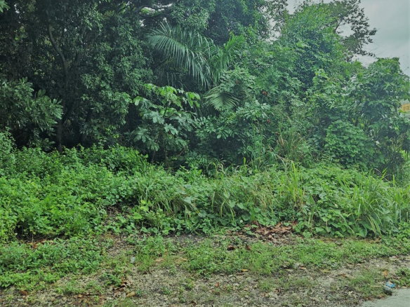 First image of Tower Isle Street in Tower Isle, St. Mary, Jamaica - property is For Sale