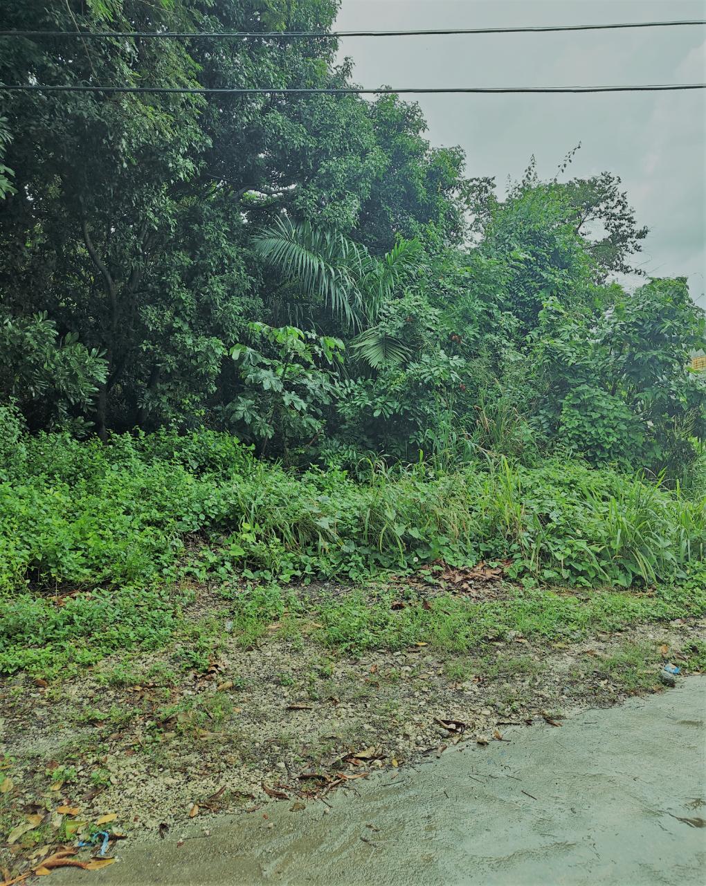 First image of Tower Isle Street in Tower Isle, St. Mary, Jamaica - property is For Sale