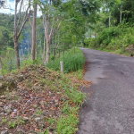 First image of 4 Clermont, Trelawny in Carey Park, Trelawny, Jamaica - property is For Sale