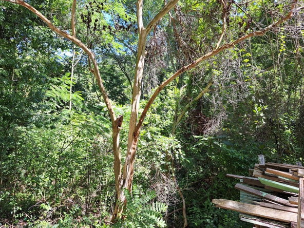 Third image of 4 Clermont, Trelawny in Carey Park, Trelawny, Jamaica - property is For Sale
