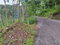 First image of 4 Clermont, Trelawny in Carey Park, Trelawny, Jamaica - property is For Sale