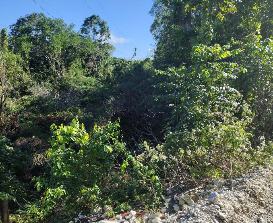 Sixth image of Lot-128 Tripoli in Runaway Bay, St. Ann, Jamaica - property is For Sale