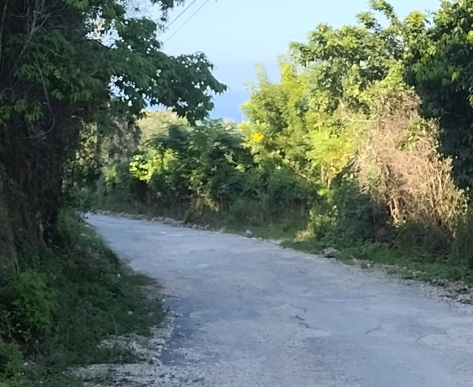 Seventh image of Lot-128 Tripoli in Runaway Bay, St. Ann, Jamaica - property is For Sale