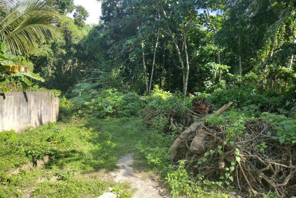 Third image of Lot-130 Tripoli in Runaway Bay, St. Ann, Jamaica - property is For Sale