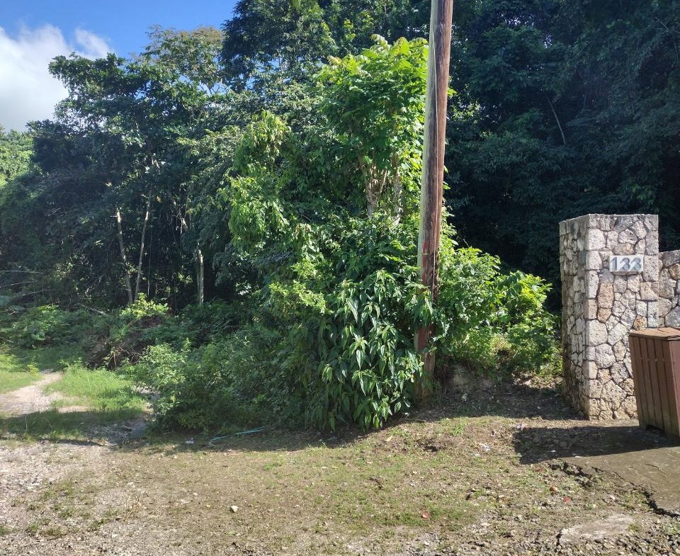 First image of Lot-130 Tripoli in Runaway Bay, St. Ann, Jamaica - property is For Sale