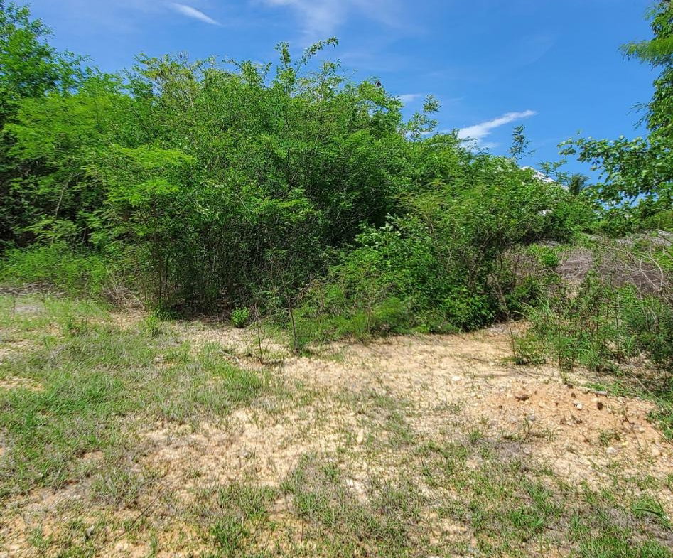 Second image of Twin Palms Estate in Palmers Cross, Clarendon, Jamaica - property is For Sale