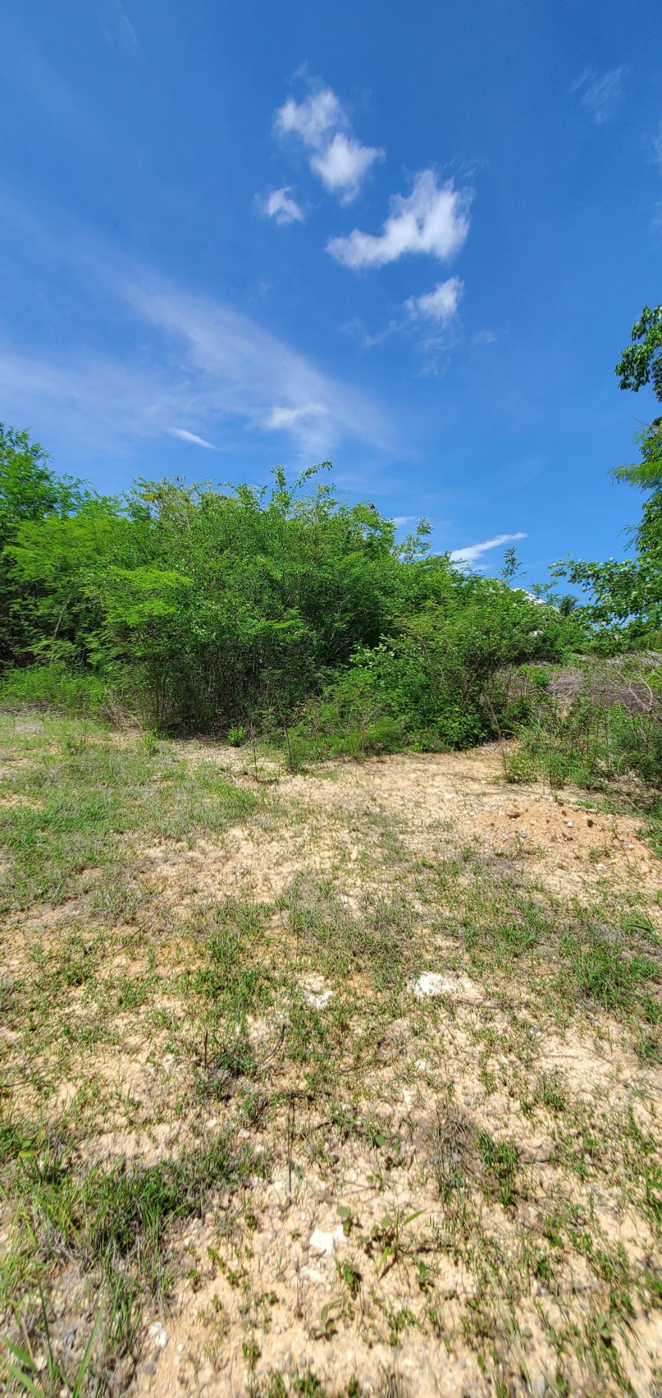 Residential-Lot-for-Sale-in-Twin-Palm-Estate-Clarendon-Jamaica Second image of Twin Palms Estate in Palmers Cross, Clarendon, Jamaica - property is For Sale