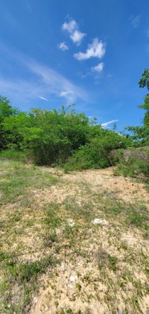 Second image of Twin Palms Estate in Palmers Cross, Clarendon, Jamaica - property is For Sale