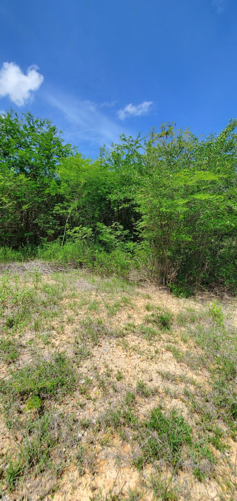 Residential-Lot-for-Sale-in-Twin-Palm-Estate-Clarendon-Jamaica Third image of Twin Palms Estate in Palmers Cross, Clarendon, Jamaica - property is For Sale