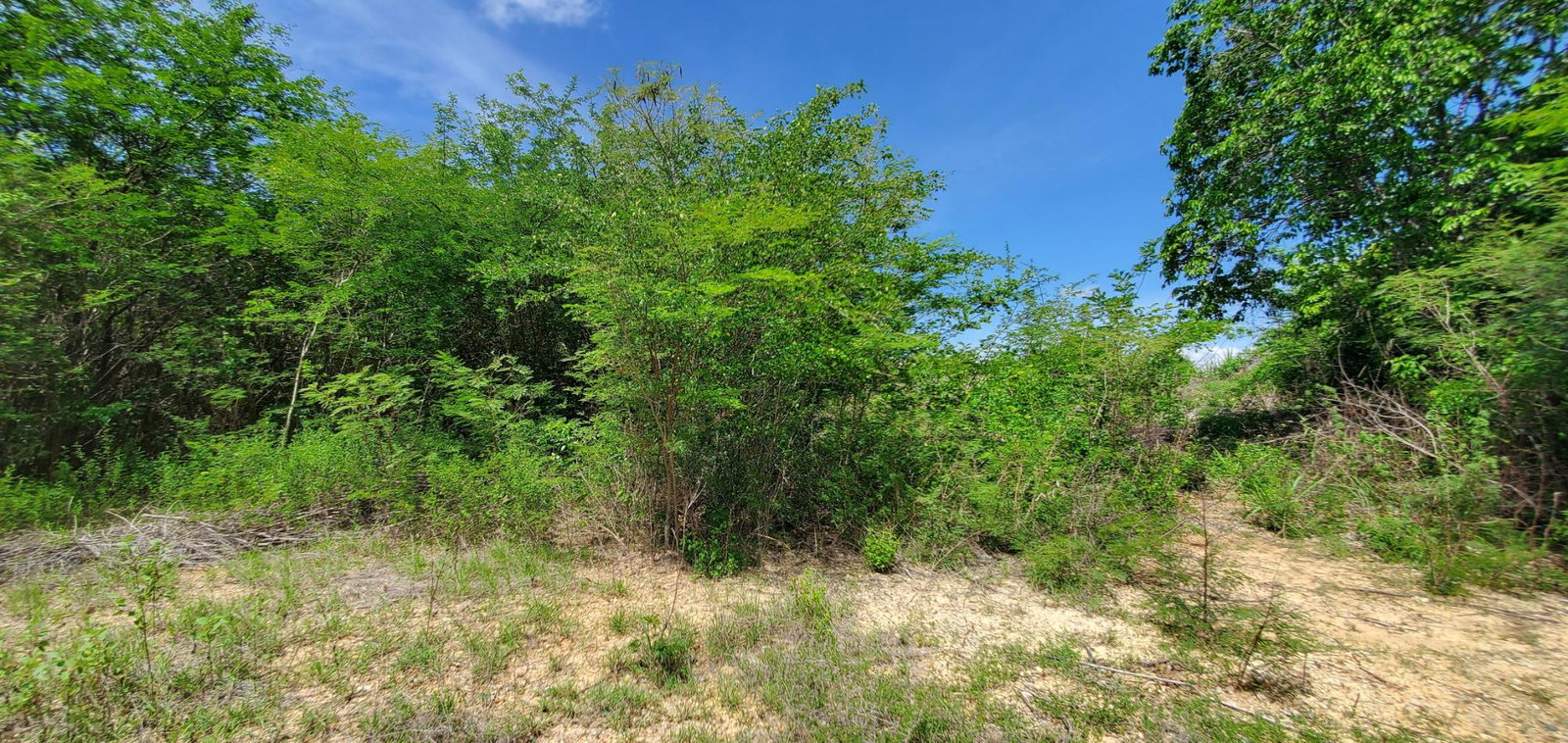 Residential-Lot-for-Sale-in-Twin-Palm-Estate-Clarendon-Jamaica Fourth image of Twin Palms Estate in Palmers Cross, Clarendon, Jamaica - property is For Sale