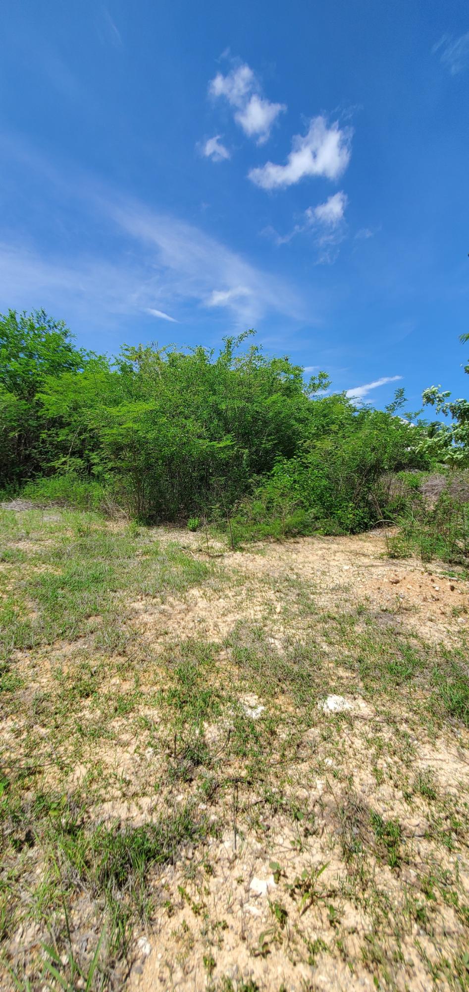 Residential-Lot-for-Sale-in-Twin-Palm-Estate-Clarendon-Jamaica Sixth image of Twin Palms Estate in Palmers Cross, Clarendon, Jamaica - property is For Sale