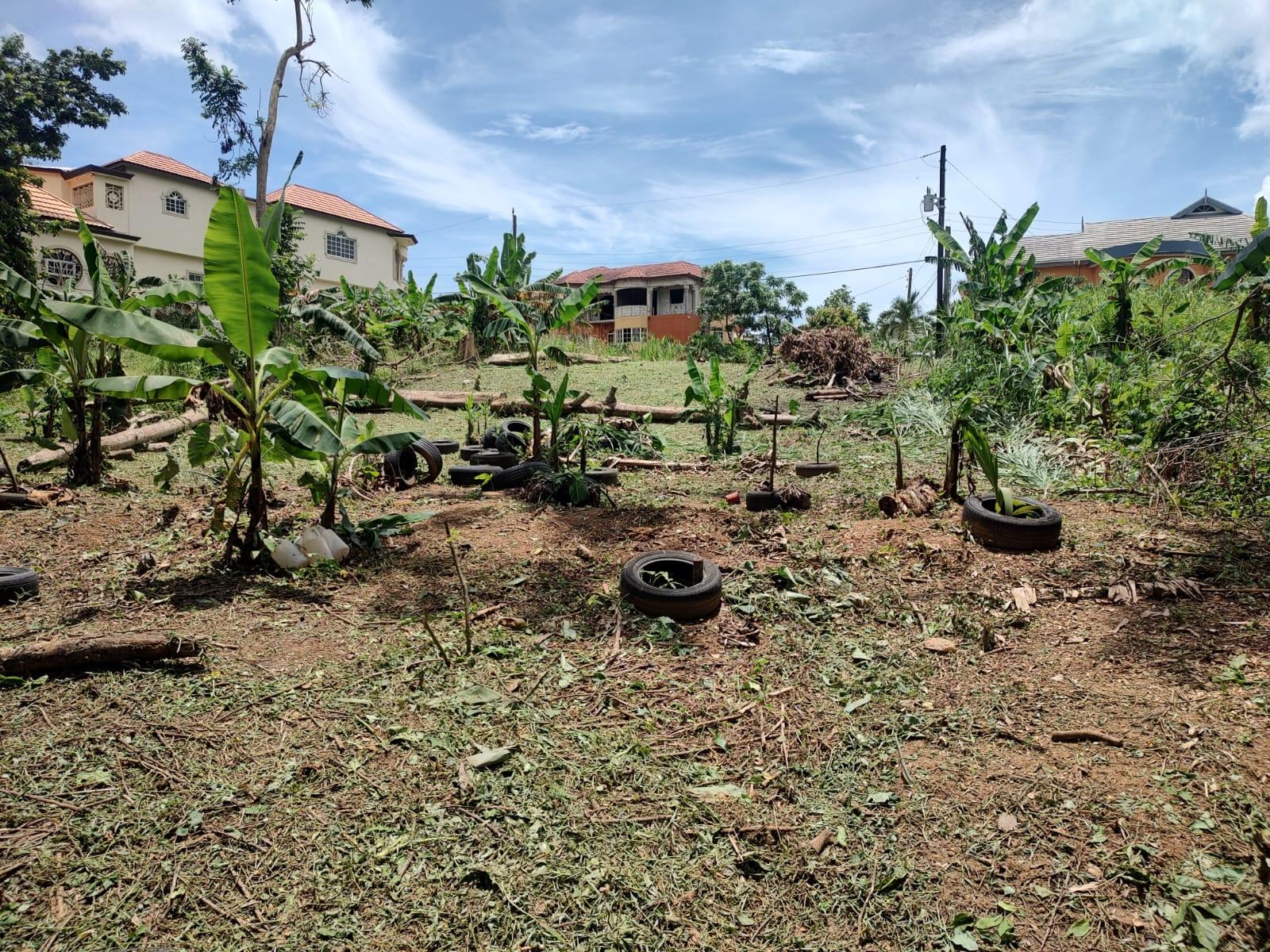 Residential-Lot-for-Sale-in-Vanfair-Gardens-Linstead-Jamaica Second image of Linstead in Linstead, St. Catherine, Jamaica - property is For Sale