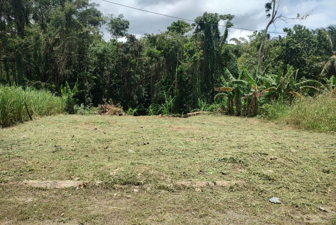 First image of Linstead in Linstead, St. Catherine, Jamaica - property is For Sale