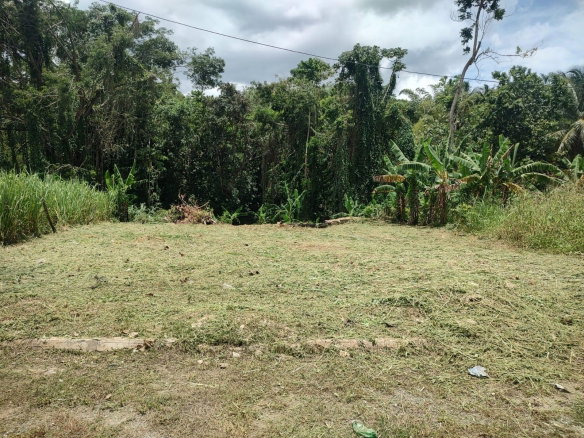 First image of Linstead in Linstead, St. Catherine, Jamaica - property is For Sale