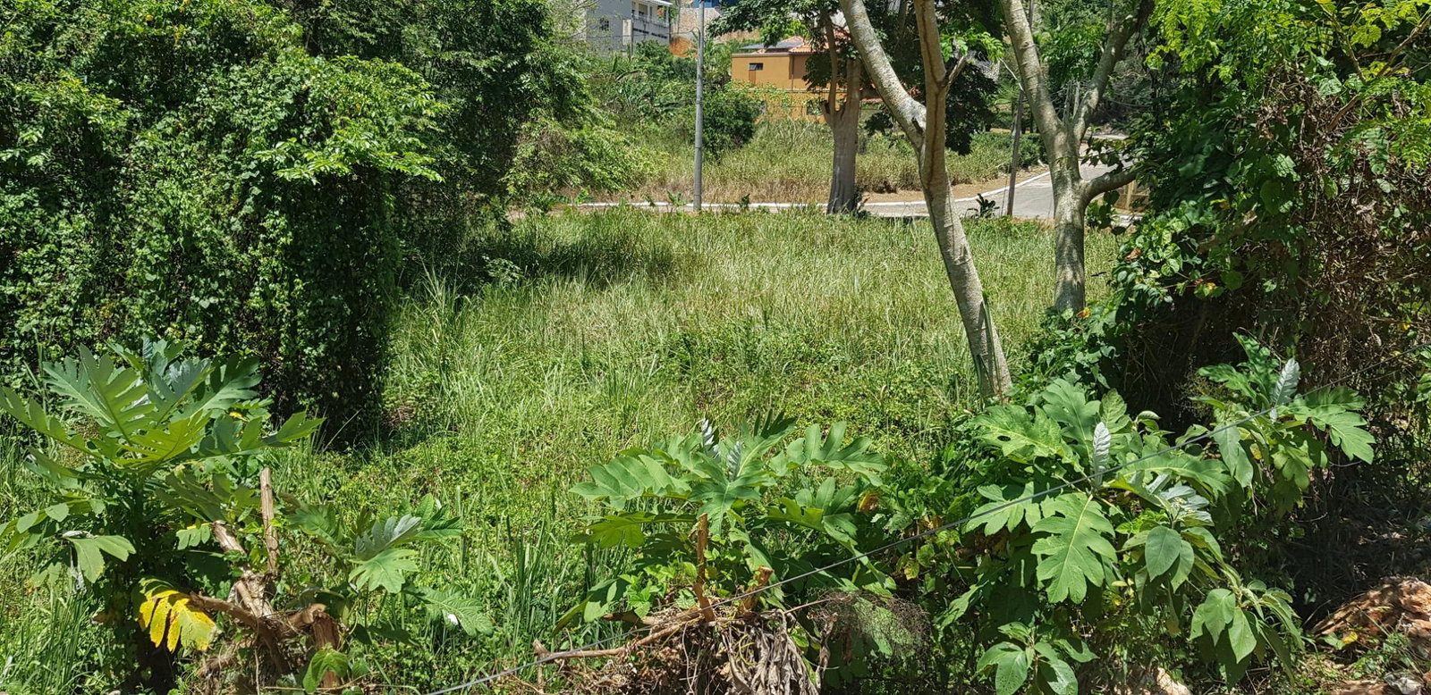 Third image of Lot 15 Thompson Boulevard, Vanta in Red Hills, St. Andrew, Jamaica - property is For Sale