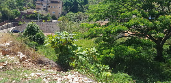 Fifth image of Lot 15 Thompson Boulevard, Vanta in Red Hills, St. Andrew, Jamaica - property is For Sale