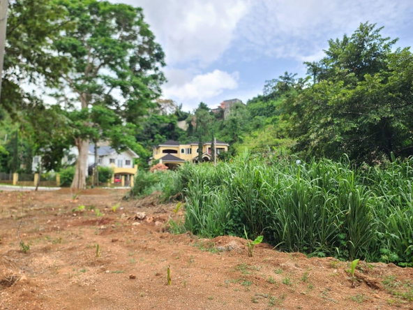 Third image of Lot 7a Vantage View Estate, Thom in Red Hills, St. Andrew, Jamaica - property is For Sale
