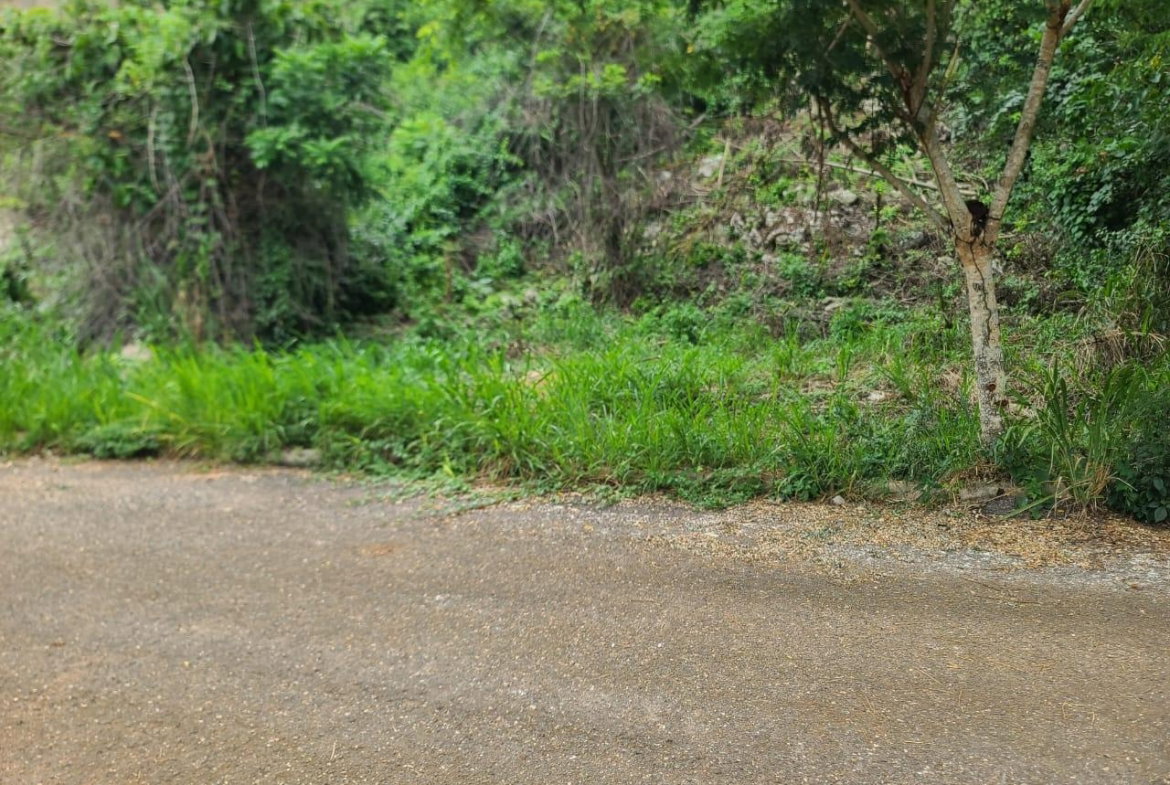 Fifth image of Lot 7a Vantage View Estate, Thom in Red Hills, St. Andrew, Jamaica - property is For Sale
