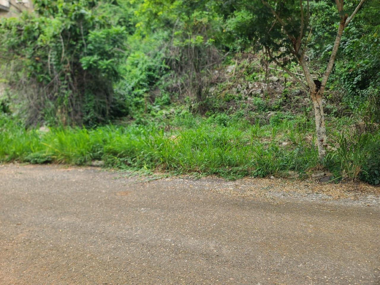 Fifth image of Lot 7a Vantage View Estate, Thom in Red Hills, St. Andrew, Jamaica - property is For Sale