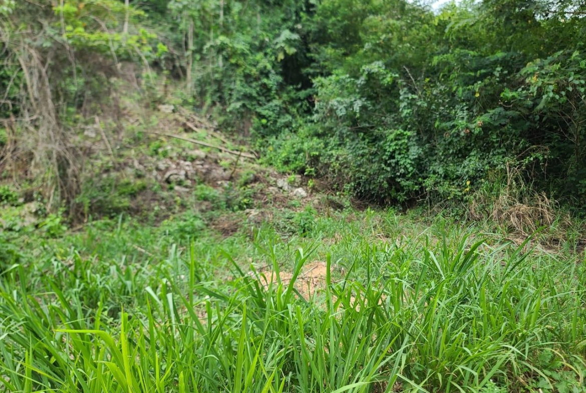 Seventh image of Lot 7a Vantage View Estate, Thom in Red Hills, St. Andrew, Jamaica - property is For Sale