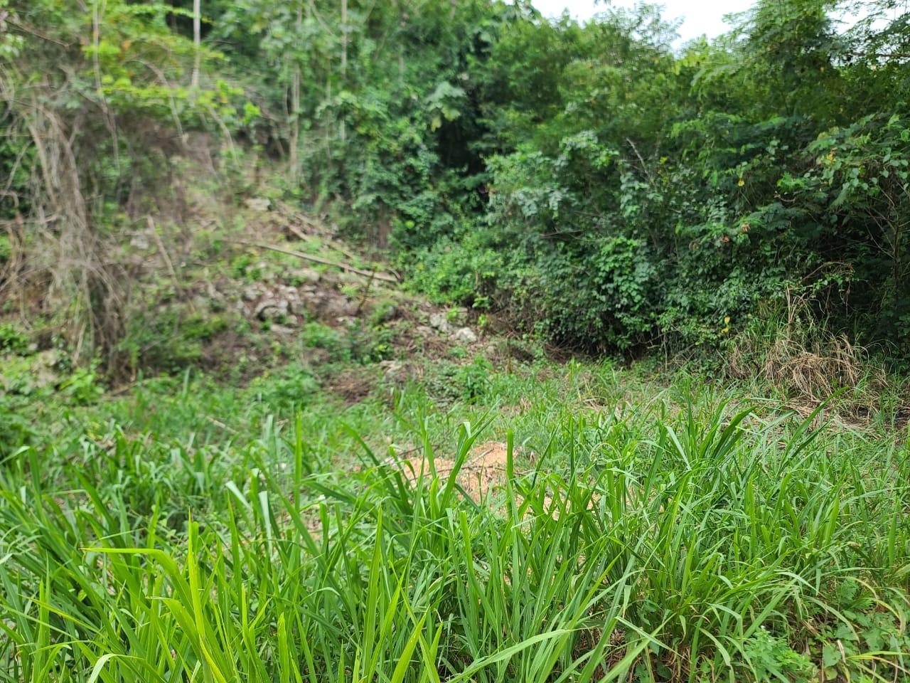 Seventh image of Lot 7a Vantage View Estate, Thom in Red Hills, St. Andrew, Jamaica - property is For Sale
