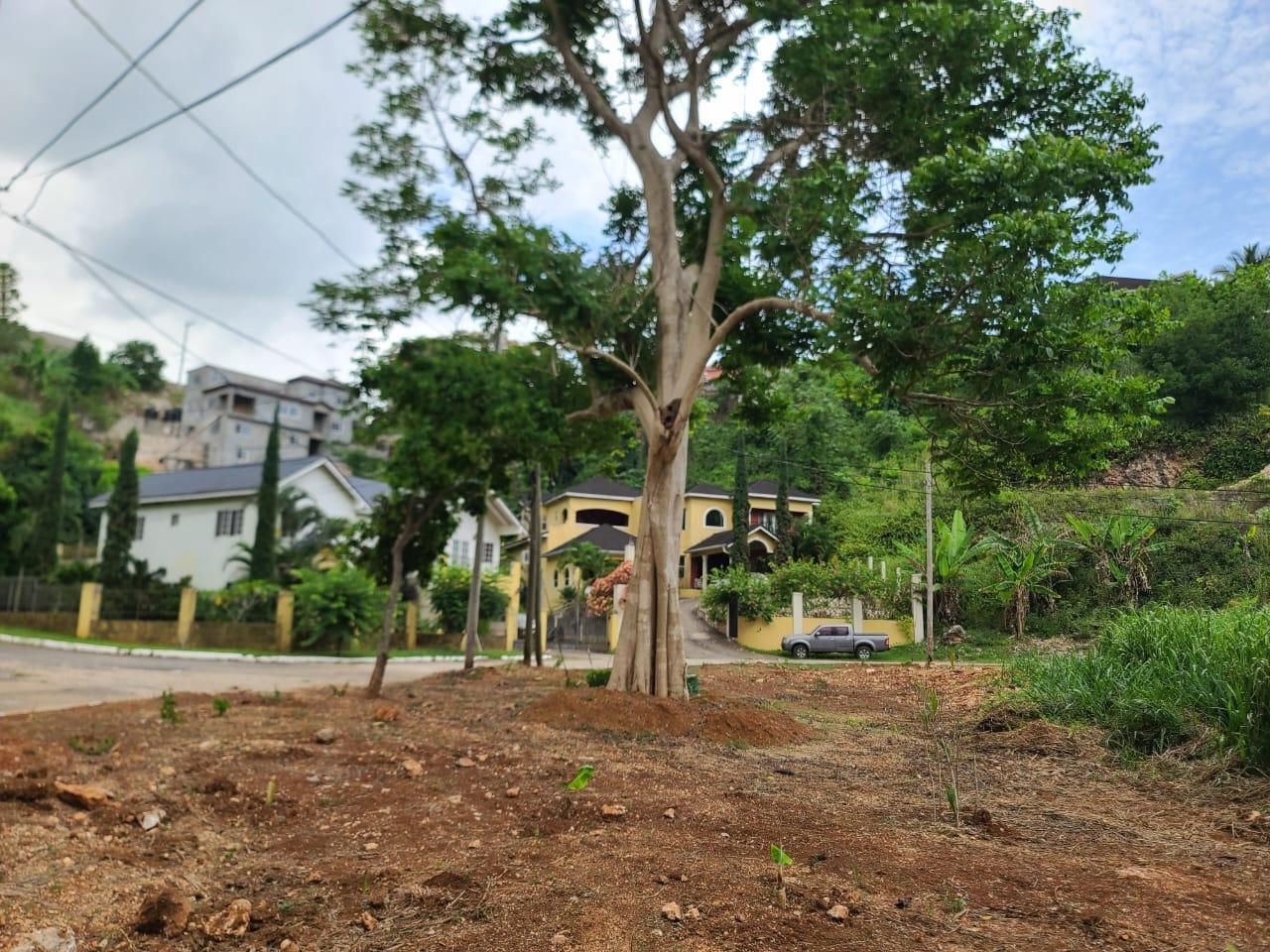 Eighth image of Lot 7a Vantage View Estate, Thom in Red Hills, St. Andrew, Jamaica - property is For Sale