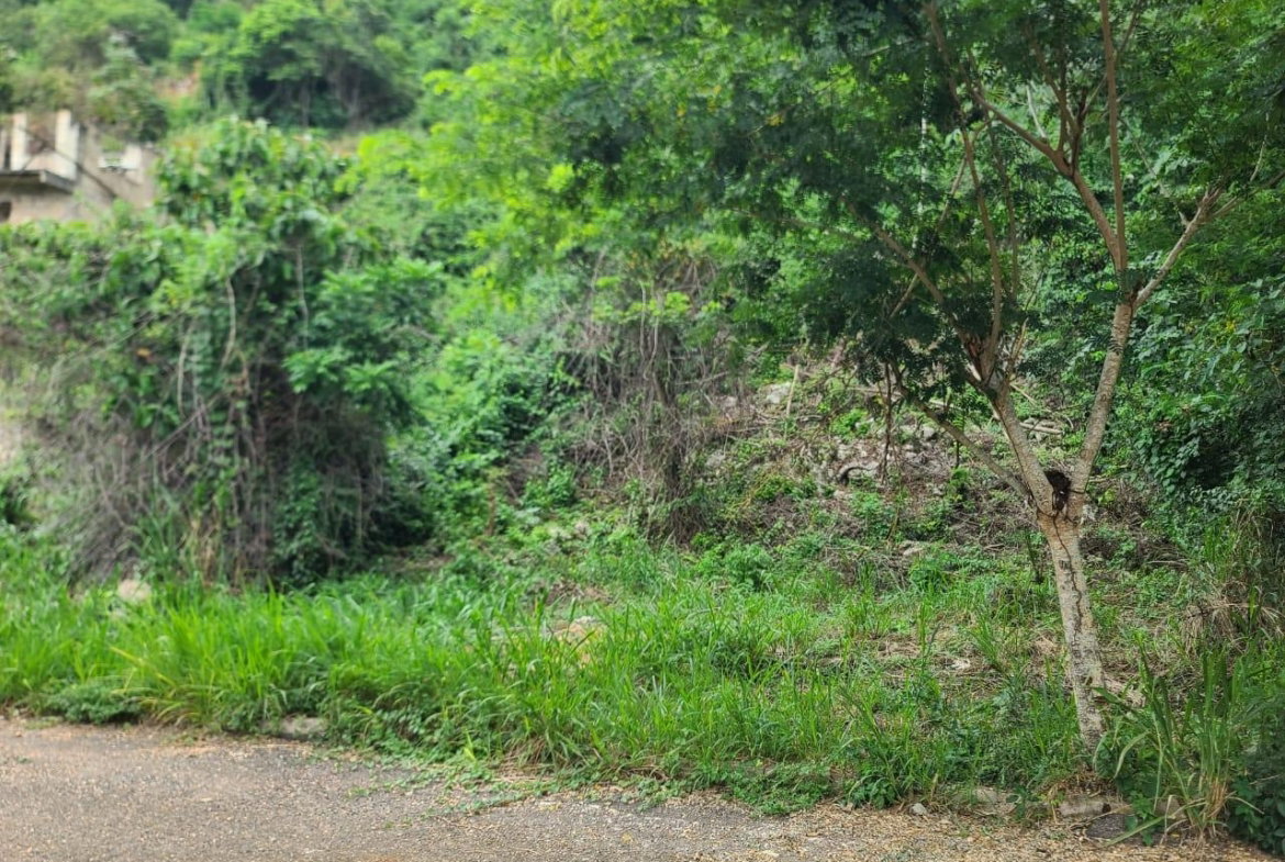 Tenth image of Lot 7a Vantage View Estate, Thom in Red Hills, St. Andrew, Jamaica - property is For Sale