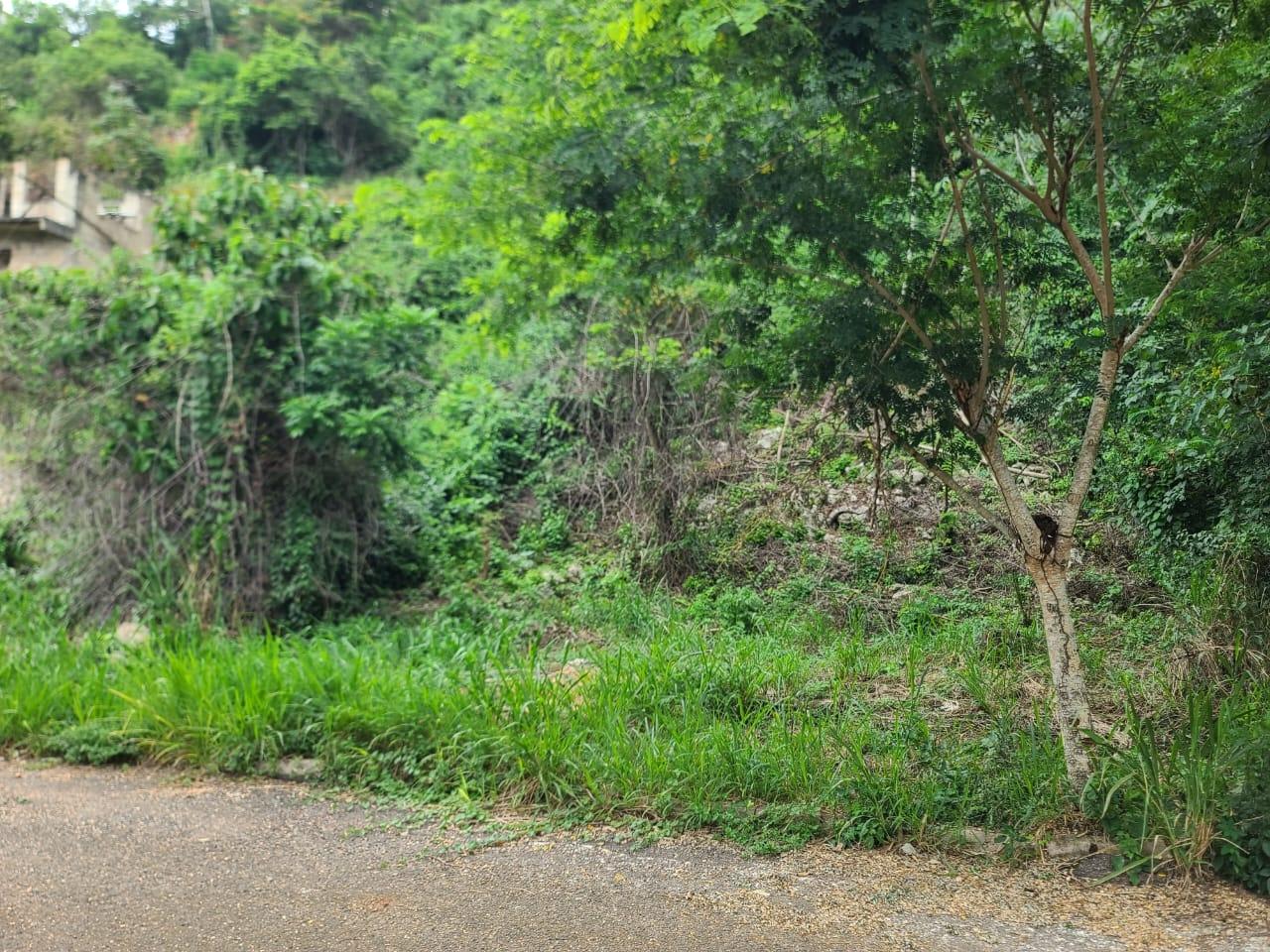 Tenth image of Lot 7a Vantage View Estate, Thom in Red Hills, St. Andrew, Jamaica - property is For Sale