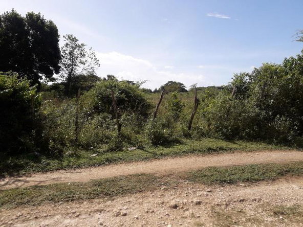 Second image of Vineyard in Black River, St. Elizabeth, Jamaica - property is For Sale