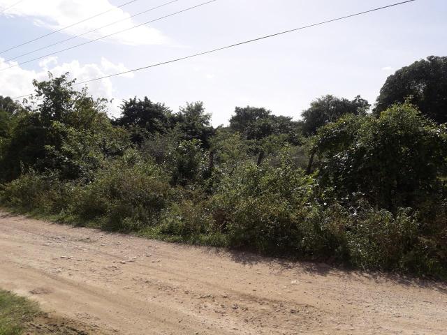 Fourth image of Vineyard in Black River, St. Elizabeth, Jamaica - property is For Sale
