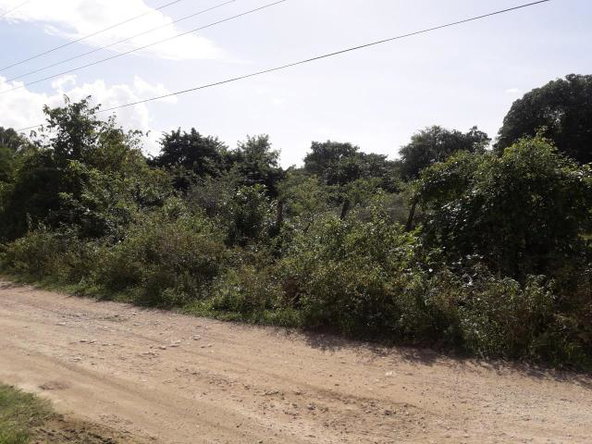 Fourth image of Vineyard in Black River, St. Elizabeth, Jamaica - property is For Sale