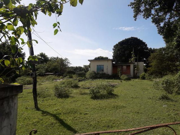 Eighth image of Vineyard in Black River, St. Elizabeth, Jamaica - property is For Sale