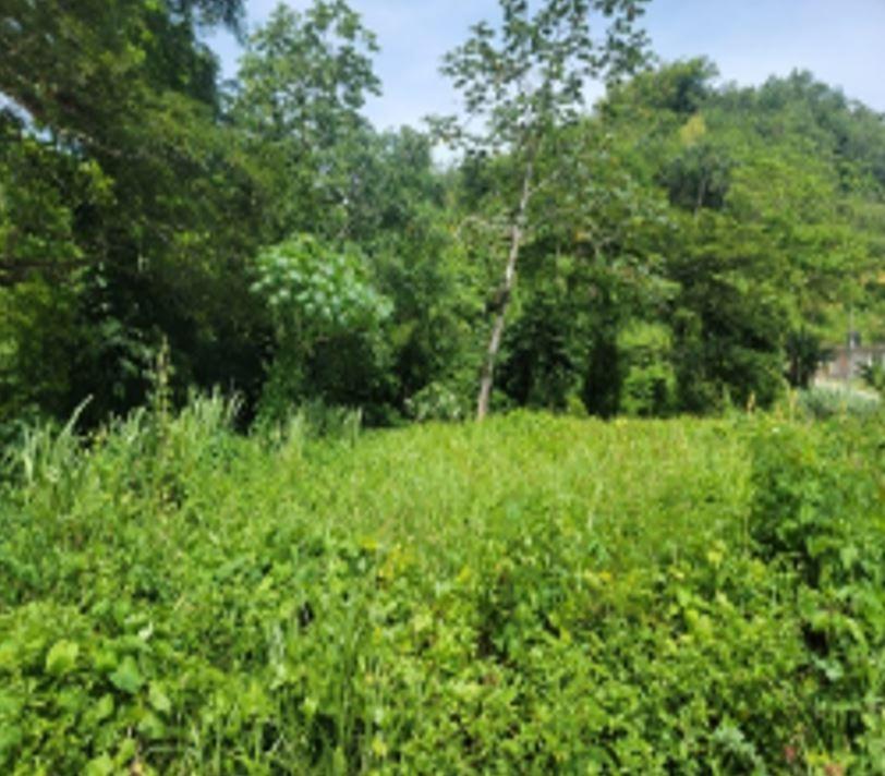 Second image of 24 Welrik Gardens Anchovy in Anchovy, St. James, Jamaica - property is For Sale