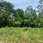 First image of 24 Welrik Gardens Anchovy in Anchovy, St. James, Jamaica - property is For Sale