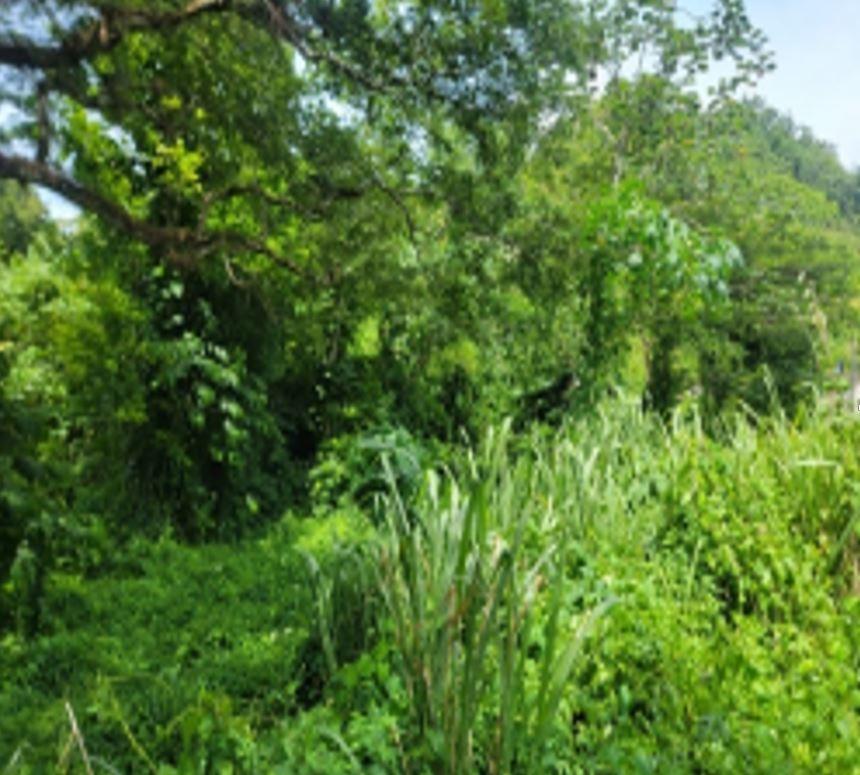 Third image of 24 Welrik Gardens Anchovy in Anchovy, St. James, Jamaica - property is For Sale