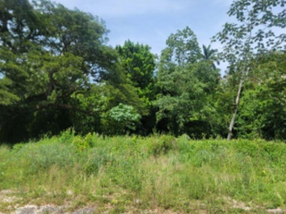 First image of 24 Welrik Gardens Anchovy in Anchovy, St. James, Jamaica - property is For Sale