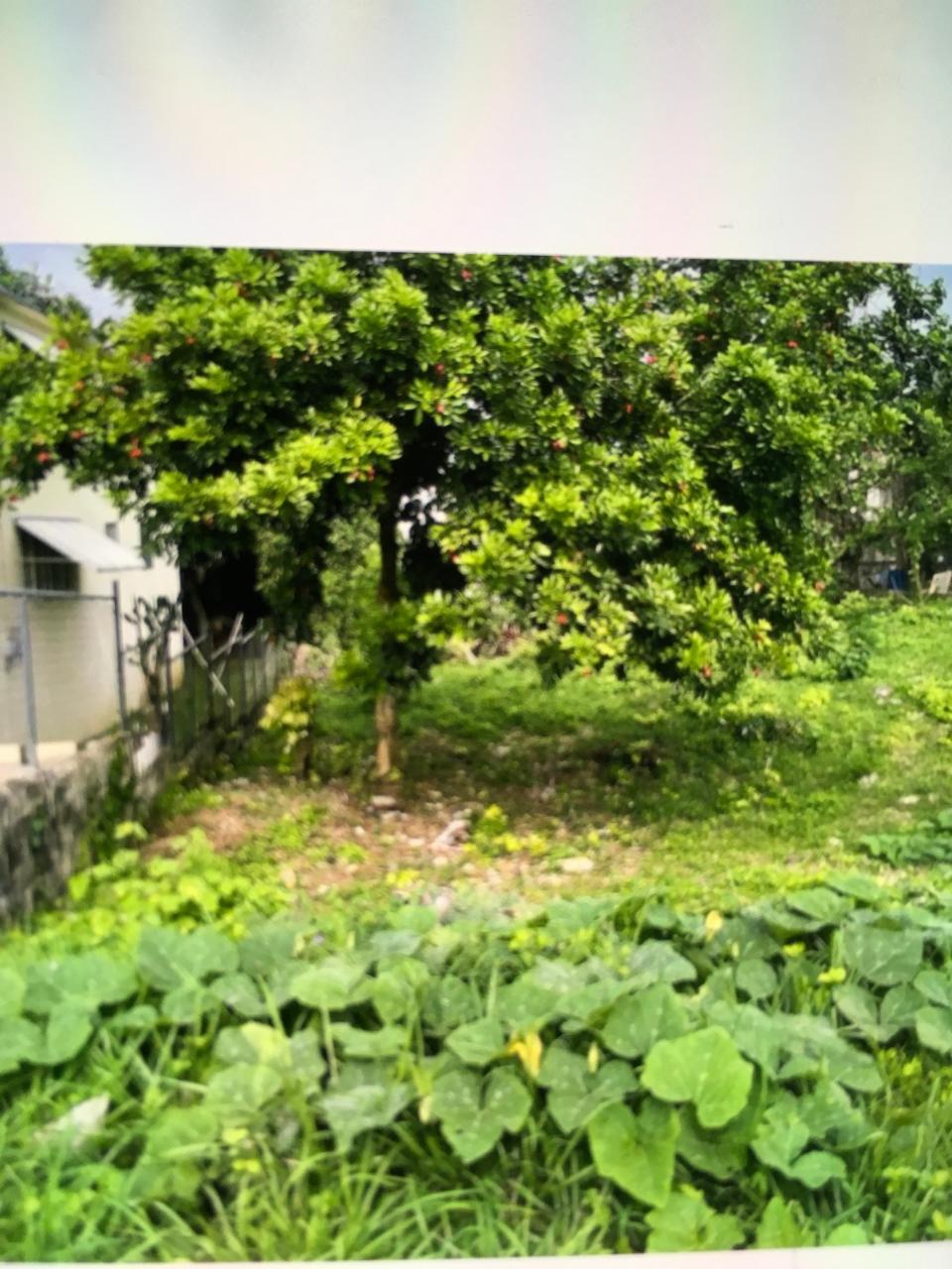 Second image of Lot# 244 Westgate Hills Montego ba in Westgate Hills, St. James, Jamaica - property is For Sale