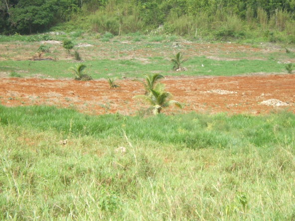 Second image of 448pt Crowder Commons in CROWDER, Westmoreland, Jamaica - property is For Sale