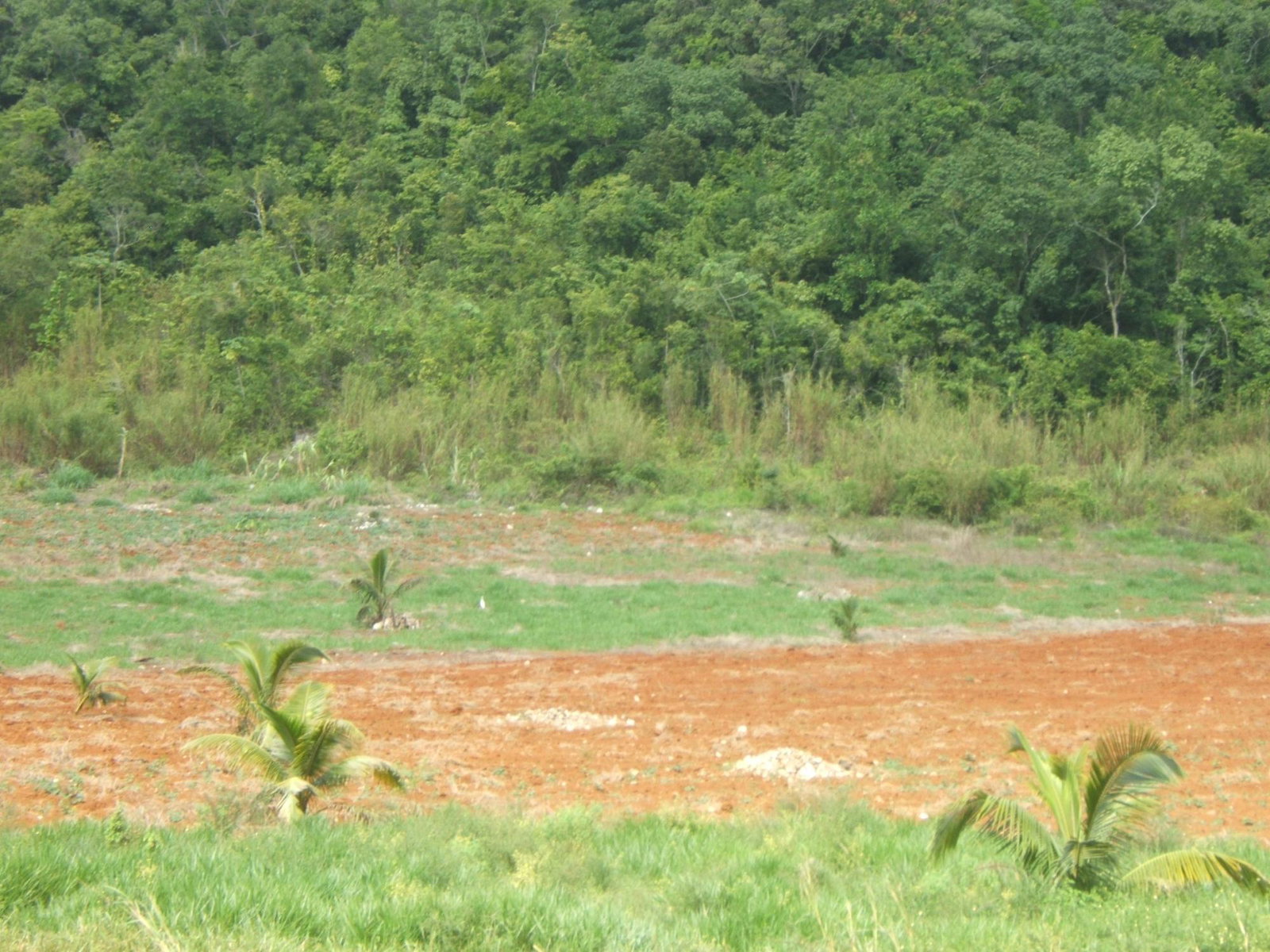 Third image of 448pt Crowder Commons in CROWDER, Westmoreland, Jamaica - property is For Sale