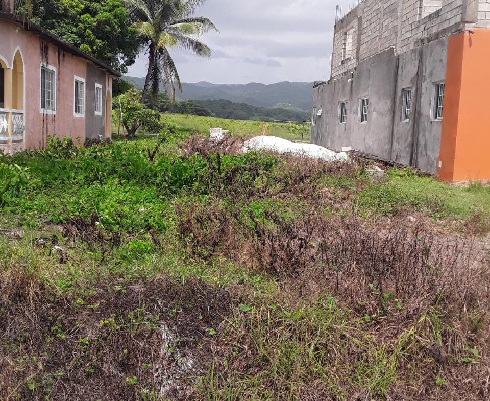 Second image of Frome Blvd in Petersfield, Westmoreland, Jamaica - property is For Sale