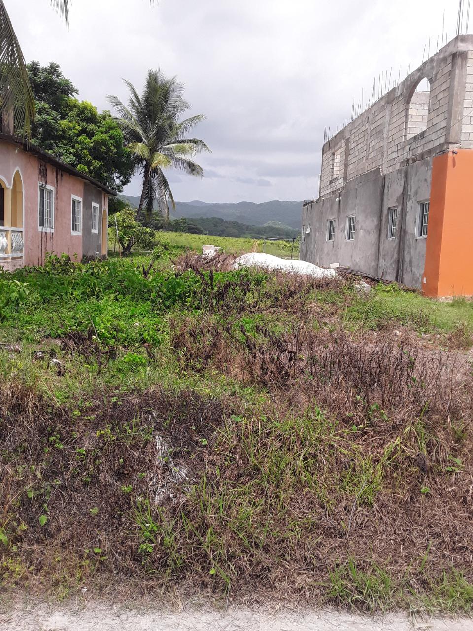 Second image of Frome Blvd in Petersfield, Westmoreland, Jamaica - property is For Sale