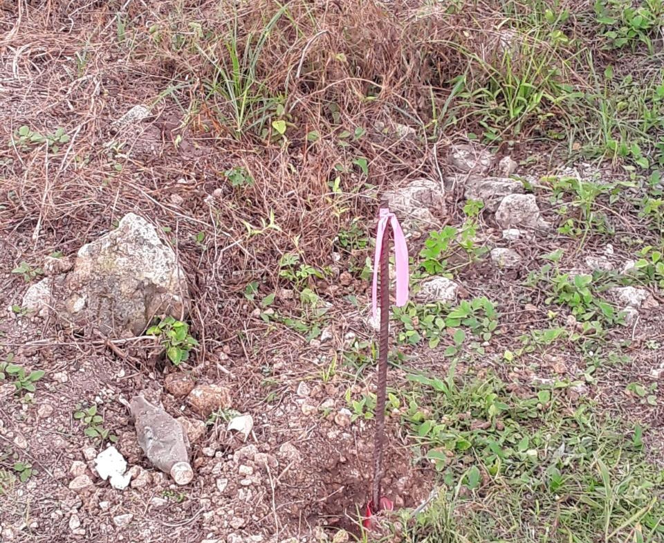 Fifth image of Frome Blvd in Petersfield, Westmoreland, Jamaica - property is For Sale