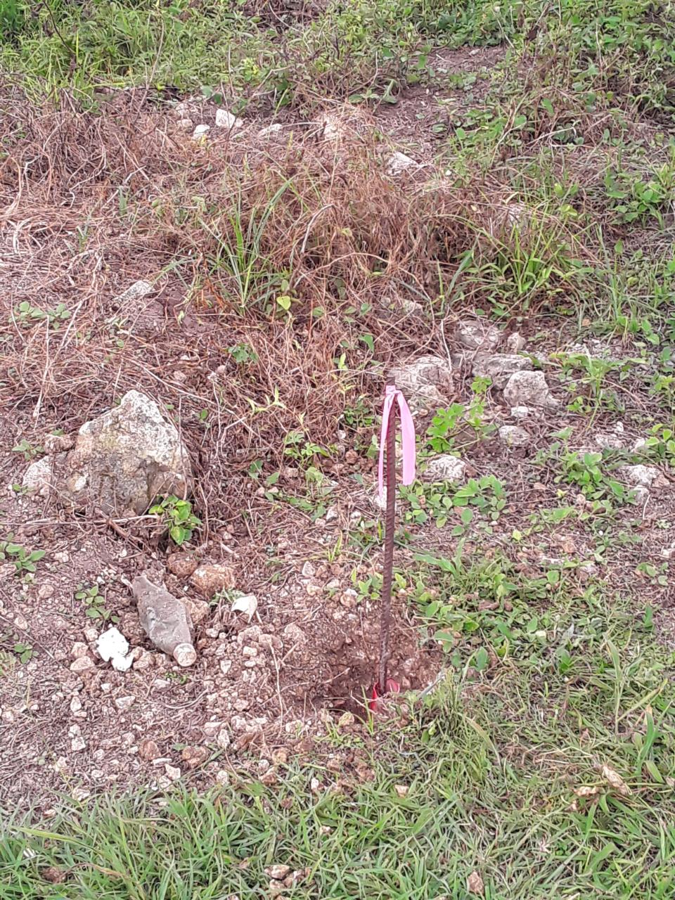 Fifth image of Frome Blvd in Petersfield, Westmoreland, Jamaica - property is For Sale