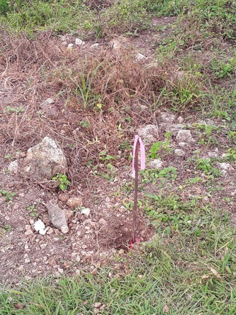 Fifth image of Frome Blvd in Petersfield, Westmoreland, Jamaica - property is For Sale