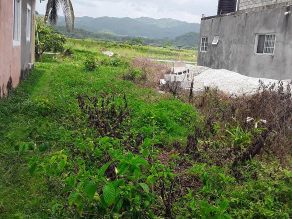 First image of Frome Blvd in Petersfield, Westmoreland, Jamaica - property is For Sale